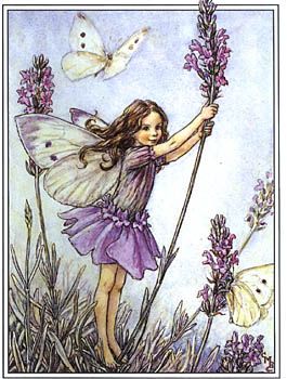 Lavender Fairy | What type of Flower Fairy would you be? - Quiz Cicely Mary Barker Flower Fairies, Fairy Prints, Lavender Fairy, Plate Illustration, Cicely Mary Barker, Flower Fairies, Flower Fairy, Lavender