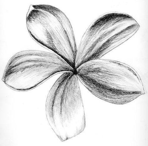 Easy Charcoal Drawings, 3d Drawing Tutorial, Project Drawing, Easy Pencil Drawings, Pencil Drawings For Beginners, Pencil Drawing Tutorials, Flower Drawing Tutorials, Arte Van Gogh, Charcoal Sketch