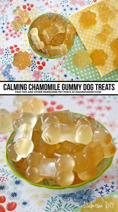 Foods Dogs Can Eat, Homemade Pet Treats, Pet Treats Recipes, Dog Treats Homemade Easy, Easy Dog Treat Recipes, Frozen Dog Treats, Dog Biscuit Recipes, Easy Dog Treats, Healthy Dog Treats Homemade