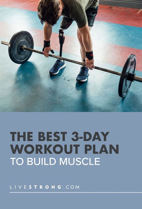 4 Day Week Workout Plan, 3 Day Split Strength Training, Build Muscle Workout Plan, 6 Week Shred Workout Plans, Full Body Hypertrophy Workout, 6 Week Strength Training Plan, 3 Day Total Body Workout Plan, Two Day Workout Plan, Full Body Workout 3 Days A Week