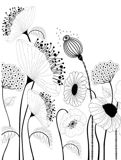 Flower doodles Modele Zentangle, Ako Kresliť, Arte Doodle, White Drawing, Flower Pattern Design, Pola Sulam, Embroidery Flowers Pattern, Flower Doodles, Black And White Drawing