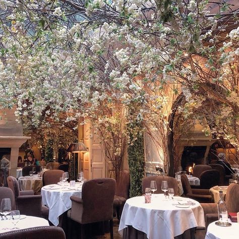 Most romantic restaurant in the world|Clos Maggiore|London|Covent Garden| Cozy Sitting Area, Covent Garden London, Romantic Restaurant, London Shopping, London Food, Family Garden, Las Vegas Hotels, London Restaurants, Covent Garden