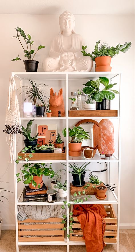 Bookshelf Decor With Plants, Plant Shelf Bookshelf, Plant Shelf In Living Room, Boho Bookshelf Styling Living Room, Plant Shelf Inspiration, Bookcase With Plants, Living Room Plant Corner, Bookshelf Styling With Plants, Plants On Bookshelf