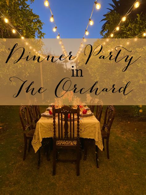 Dinner Party in the Orchard - Celebrate & Decorate Country Themed Dinner Party, Vineyard Dinner Party, Alfresco Dinner Party, Wine Party Decorations, Vineyard Dinner, Winery Party, Antler Centerpiece, Winery Ideas, Country Themed Parties