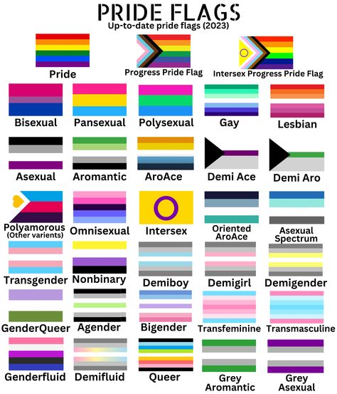 What Do All The Pride Flags Mean, Pride Flag Guide, Flag Meanings Pride, Gender Identity Flags And Meanings, Rare Lgbtq Flags, Flag Lgbtqia+, Poly Pride Flag, Pride Month Flags, Sexuality Flags And Meanings