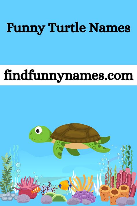 Get ready to dive into a world of hilarious and unique names for your shelled friends. We've curated a selection of the funniest and most creative turtle names out there, guaranteed to bring a smile to your face. 😄🐢 #FunnyTurtleNames #TurtleHumor #LaughWithTurtles #TurtleyHilarious Turtle Names Ideas, Turtle Names, Funny Turtle, Turtles Funny, Funny Names, Baby Turtles, Unique Names, A Turtle, Sea Turtle