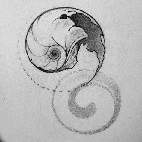 Shell Nautalis Shell Tattoo, Snail Shell Tattoo, Nautilus Shell Tattoo, Ammonite Tattoo, Shell Tattoo, Shell Tattoos, Shiva Eye, Nautilus Shell, Tattoo Black