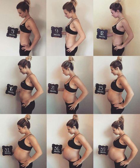 15 Weeks Pregnant Belly, Pregnancy Progress Pictures, Bump Progression, Weekly Pregnancy Photos, Baby Bump Progression, 15 Weeks Pregnant, Baby Bump Pictures, Pregnancy Belly Photos, Pregnancy Progression