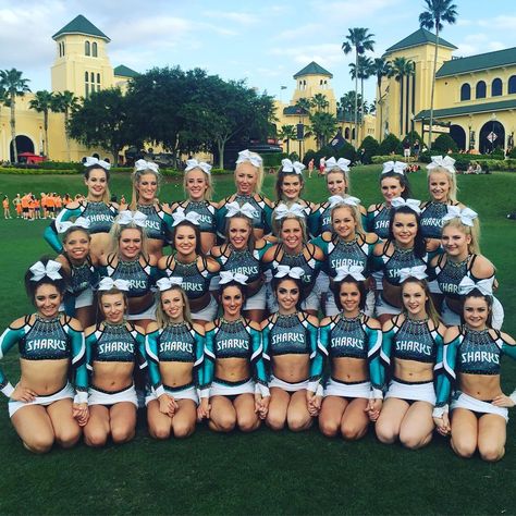 1,065 Likes, 10 Comments - Cheer Sport Great White Sharks (@csgreatwhites) on Instagram: “There is nothing stronger than the bond between these 24 girls #iloveourteam #bringonfinals…” Jumps Cheer, Hairstyles Cheer, Cheer Illustration, Cheer Squad Pictures, Stunts Cheer, Cheer Videos, Cheer Hairstyles, Cheer Bags, Cheer Tips