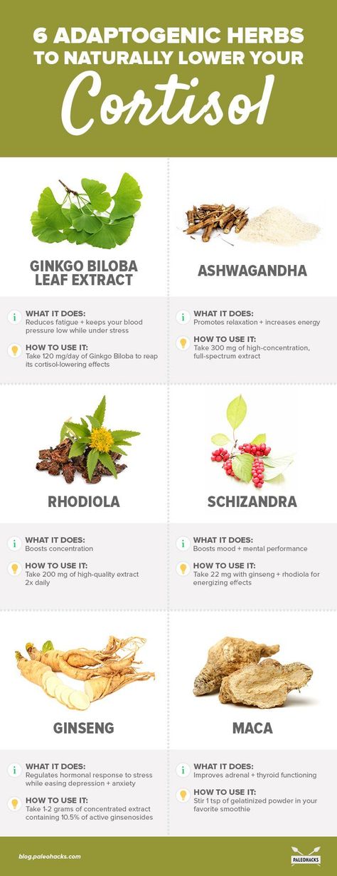 6 Adaptogenic Herbs to Naturally Lower Your Cortisol Magia Das Ervas, Adaptogenic Herbs, Herbal Healing, Herbs For Health, Brain Fog, Natural Health Remedies, Healing Herbs, Low Energy, Natural Medicine