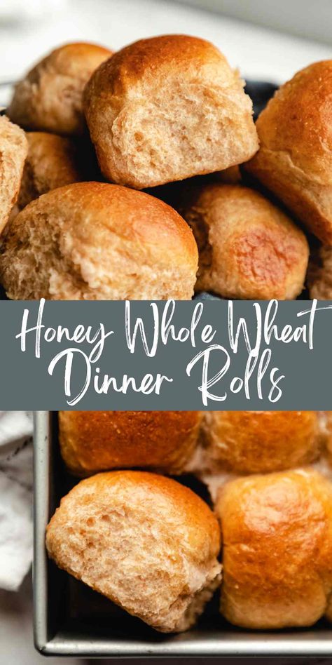 Best Honey Wheat Bread Recipe, Honey Yeast Rolls, Whole Wheat Dinner Rolls, Wheat Dinner Rolls, Dinner Rolls Easy, Wheat Flour Recipes, Whole Wheat Rolls, Yeast Rolls Recipe, Honey Wheat Bread