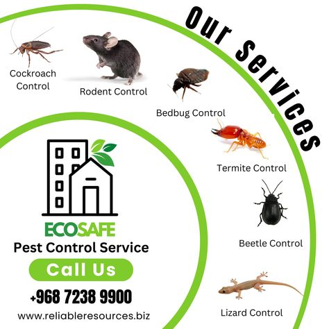 Discover ECOSAFE's comprehensive pest control services! 🐜🏠 From residential to commercial, we provide effective solutions for all your pest problems. Our expert team ensures a safe and pest-free environment using eco-friendly methods. Contact us today for reliable and professional pest control in Oman! 📞 +968 7238 9900 | +968 7237 9900 📧 ecosafe@reliableresources.biz 🌐 www.reliableresources.biz" #PestControl #EcoSafe #Oman #Muscat #HomeSafety #EcoFriendly #PestFree #ProtectYourHome #Profess... Cockroach Control, Shower Combo, Ant Control, Pinterest Download, Pest Prevention, Rodent Control, Mosquito Control, Termite Control, Bathroom Tub