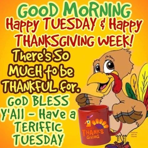 Thanksgiving Verses, Happy Thanksgiving Week, Day And Night Quotes, Happy Tuesday Morning, Happy Thanksgiving Pictures, Thanksgiving Songs, Thanksgiving Jokes, Happy Thanksgiving Images, Thanksgiving Cartoon