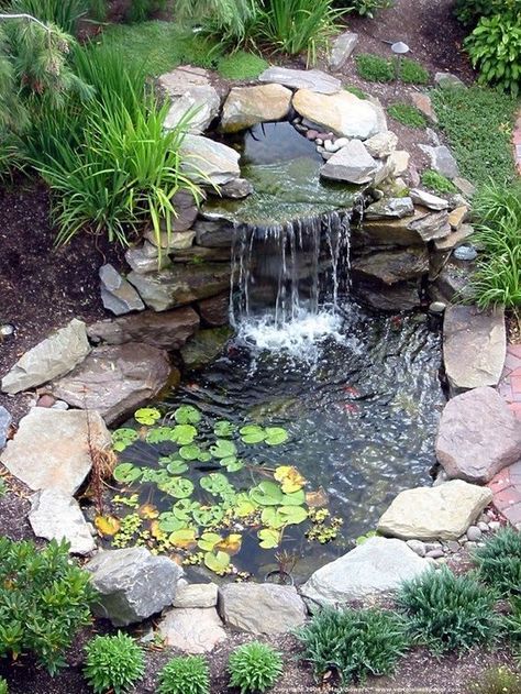 Koi Pond Backyard, Small Backyard Ponds, Waterfall Ideas, Taman Diy, Kolam Koi, Fish Pond Gardens, Urban Backyard, Garden Pond Design, Rustic Backyard