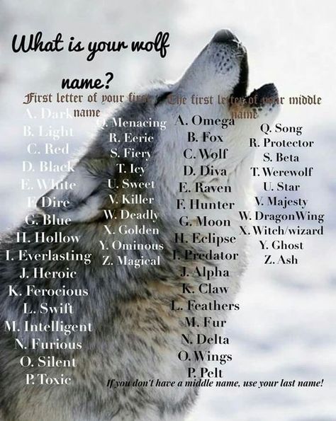 What is your wolf name? – Witches Of The Craft® Your Wolf Name, Funny Name Generator, Birthday Scenario, Lone Wolf Quotes, Unicorn Names, Wolf Stuff, Fantasy Names, Wolf Quotes, Wolf Love