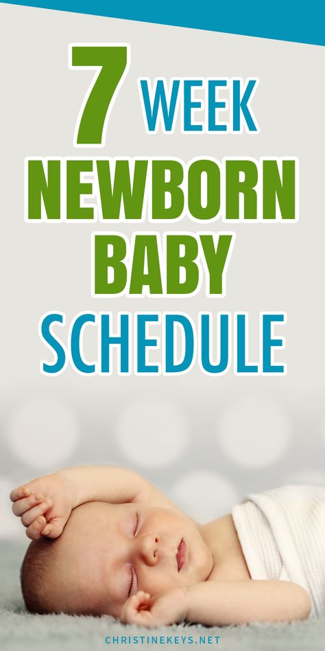 7 week newborn baby schedule. Find out what your baby's sleep schedule could look like at 7 weeks old. This routine is gentle and will help your baby get quality sleep and sleep through the night. 7 Week Old Schedule, 6 Week Old Sleep Schedule, 8 Week Old Baby Schedule, 6 Week Old Baby Schedule, Newborn Baby Schedule, Newborn Knowledge, 7 Week Old Baby, Baby Wise, Newborn Sleep Schedule