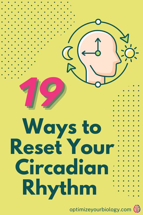 Get tips for aligning your natural sleep-wake cycle, or circadian rhythm, with your desired sleep schedule. From optimizing your sleep environment to using light and darkness to your advantage, learn how to get better sleep and wake up feeling refreshed. Best Sleep Mask, Healthy Book, Can Not Sleep, Liver Issues, Get Better Sleep, Healthy Life Hacks, Light And Darkness, How To Get Better, Sleep Schedule