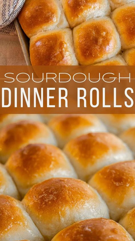 Make these easy sourdough discard dinner rolls on no time. They are soft and fluffy and only take 1-2 hours to make! Nourishing Traditions Recipes, Sourdough Dinner, Sourdough Dinner Rolls, Gut Healing Foods, Weston A Price, Sourdough Rolls, Whole Wheat Sourdough, Sourdough Starter Recipes, Sourdough Starter Discard Recipe