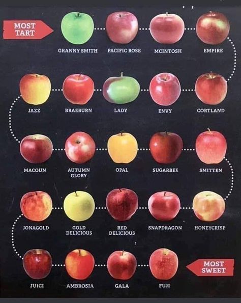 Apple Chart, Apple Season, Apple Varieties, Snacks Saludables, Food Info, Incredible Recipes, Apple Picking, Food Facts, Fruit Recipes