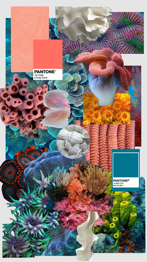 Coral Colour Scheme, Under The Sea Fashion Mood Board, Coral Reef Inspired Fashion, Sustainable Fashion Aesthetic Moodboard, Coral Inspired Fashion, Coral Textiles, Coral Reef Fashion, Sea Sustainability, Ocean Inspired Fashion