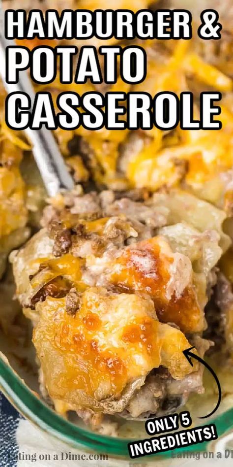 Hamburger Potato Casserole Recipe has everything you need for a great meal. Lots of creamy potatoes and hearty beef make this a hit. Hamburger And Potato Casserole, Best Hamburger Casserole Recipes, Easy Hamburger Casserole, Hamburger Potato Casserole, Recipes Hamburger, Hamburger Casseroles Recipes, Creamy Potatoes, Hamburger Dishes, Chicken Honey