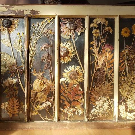 Old Pane Window Ideas, Upcycle Old Window Frames, Window Frame Crafts Ideas, Antique Windows Decor, Painted Wall Mirror Ideas, Upcycled Old Windows, Diy With Old Windows, Vintage Windows Decor, Old 6 Pane Window Ideas