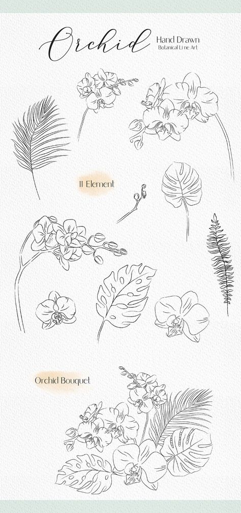 Orchid Line Tattoo, Orchid Line Art, Orchid Doodle, Orchid Line Drawing, Orchid Flower Drawing, Orchid Sketch, Line Drawing Wedding, Orchid Png, Orchid Clip