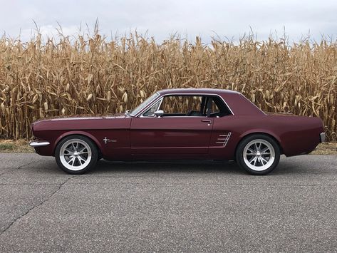 60s Ford Mustang, 1966 Ford Mustang Coupe, 1960 Mustang, 1965 Mustang Gt, 1967 Mustang Coupe, 60s Mustang, Mustang 66, Mustang 1968, 68 Ford Mustang