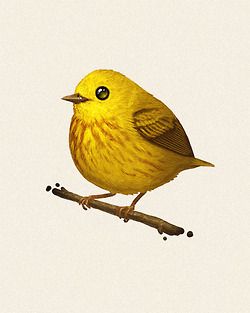 Yellow Warbler, Mike Mitchell, Fat Bird, Bird Applique, Modern Birds, Funny Illustration, Yellow Bird, Bird Drawings, Bird Illustration