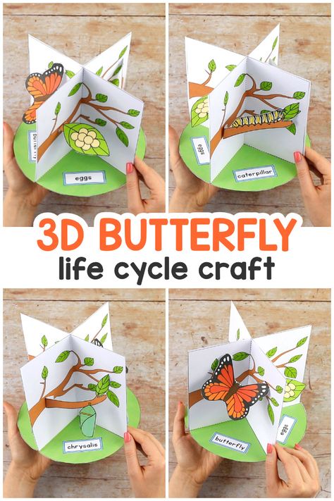 3D Butterfly Life Cycle Craft - Easy Peasy and Fun Crafting Ideas For Kindergarten, Butterfly Life Cycle Science Project, Butterfly Cycle Project, Butterflies Life Cycle, 3d Life Cycle Of A Butterfly Craft, Paper Project Ideas, Animal Diorama, Ballet Movement, Animal Craft Ideas