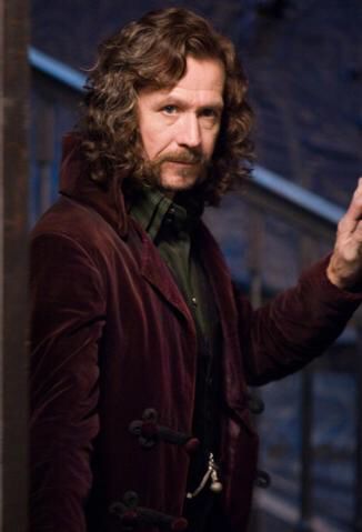 Sirius Black jacket vest Sirius Black Gary Oldman, Harry Potter Family Tree, Black Reference, Film Harry Potter, Walburga Black, Citate Harry Potter, Tapeta Harry Potter, Harry Potter Cosplay, Images Harry Potter