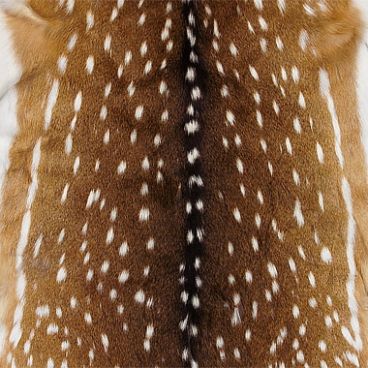 speckled deer hide Axis Deer Hide, Axis Deer, Hide Pillows, Deer Doe, Deer Hide, Perfect Legs, Hide Rug, Leather Pillow, Deer Skin