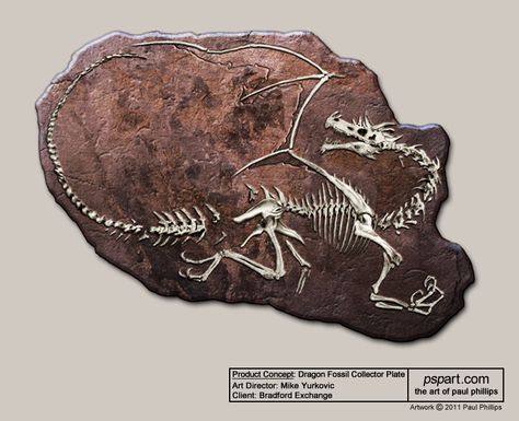 Paul Phillips - Dragon Fossil Collectors Plate Digital Mock-Up    http://paulphillipsart.blogspot.com/ Crochet Fossil, Dragon Fossil, Dragon Line, Small Bones, Fossil Art, Earth Projects, Ancient Artefacts, Dragon Bones, Cow Bones