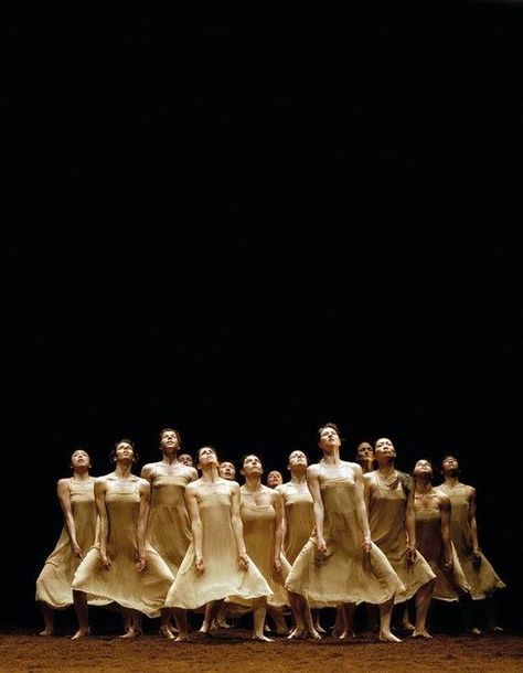 Pina Bausch le sacre du printemps Modern Dans, Pina Bausch, Physical Theatre, Dance Aesthetic, Dance Photo, Alvin Ailey, Dance Movement, Dance Theater, Theatre Arts