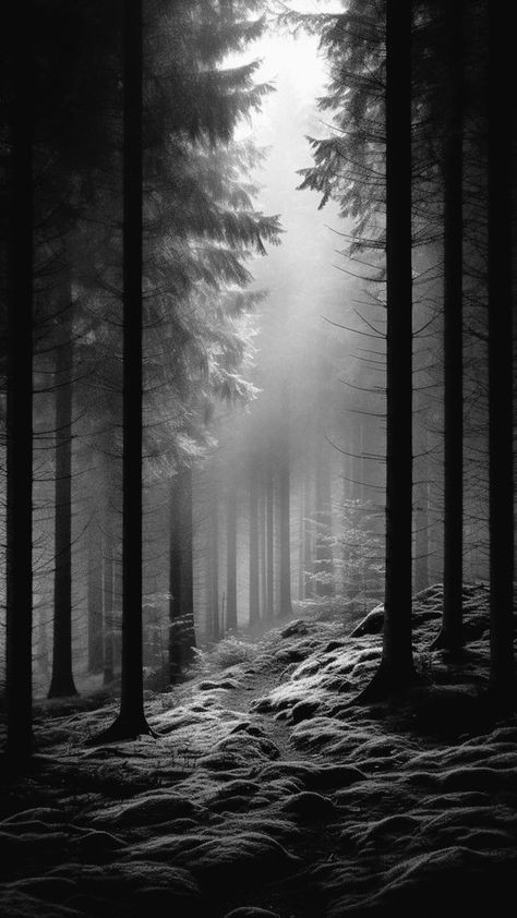 Dense Forest Drawing, Manga Scenery Black And White, Dark Forest Drawing, Waterfall Black And White, Black And White Landscape Painting, Black And White Forest, Pear Preserves, Hamsa Tattoo Design, Forest Sketch