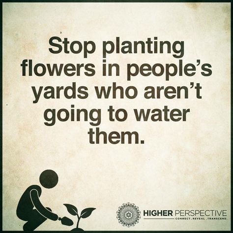 Watering Plants, Garden Works, Plants Quotes, Single And Happy, Garden Quotes, Simple Reminders, Touching Quotes, Amazing Quotes, Some Words