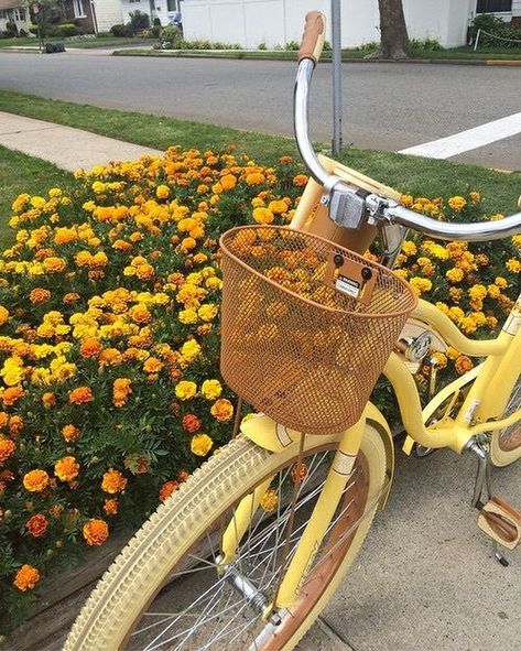 Sixties Makeup, Image Aesthetic, Aesthetic Image, Yellow Aesthetic Pastel, Wallpaper Flower, Aesthetic Tumblr, Vintage Bike, Yellow Wallpaper, Yellow Aesthetic