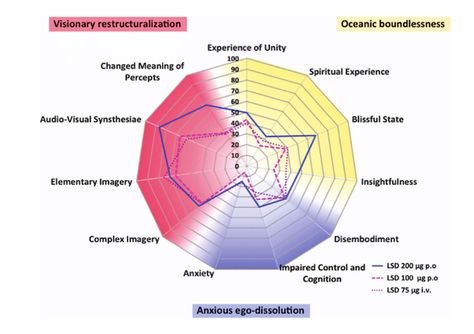 The Five Dimensional Altered States Of Consciousness (5D-ASC) Altered State Of Consciousness, States Of Consciousness, Phd Student, Dissociation, Spiritual Experience, Great Words, Neuroscience, Art References, Cool Names