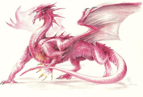 Ruby Dragon - Reference by BrassDragon Pink Dragon Drawing, Pink Dragon Aesthetic, Pink Dragon Art, Sakura Dragon, Ruby Dragon, Dragon Reference, Haku Dragon, Emerald Dragon, Small Phoenix Tattoos