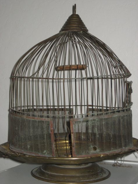 Old bird cage Old Bird Cage, Large Bird Baths, Parrot Play Stand, Cockatiel Cage, Bird Cages For Sale, Antique Bird Cages, Bird Cage Stand, Cages For Sale, Parakeet Cage