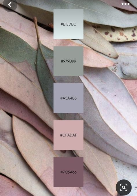 Dusty Pastels Colour Palettes, Colour Palette Dusty Pink, Mauve Olive Color Palettes, Blush Sage Color Palette, Succulent Colour Palette, Sage And Pink Office, Mauve Sage Color Palette, Mauve Grey Color Palette, Pink Gold Green Color Palettes