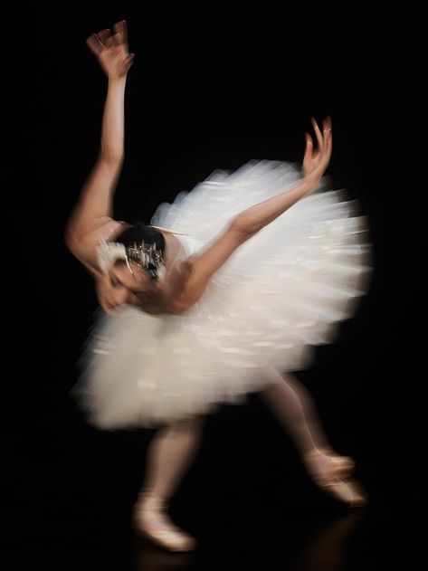 Estilo Ivy League, Swan Lake Ballet, Australian Ballet, Ballet Beauty, Ballet Inspiration, Swan Queen, Dancing Aesthetic, White Swan, Wow Art