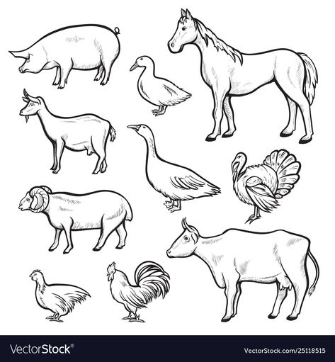 Farm Animals Drawing, Farm Pigs, Animal Anime, Chicken Drawing, Animals Drawing, Cartoon Fashion, Domestic Animals, Pig Farming, Fashion Landscape