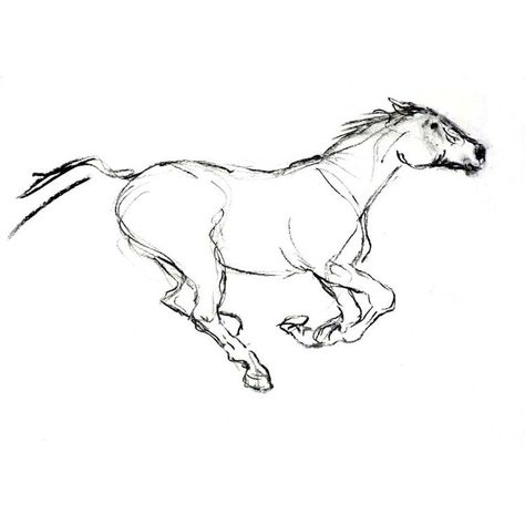 Horse Running Sketch, Running Animal Drawing, Running Horse Tattoo Design, Minimalist Horse Drawing, Running Horses Drawing, Horse Tattoo Drawing, Horse Running Silhouette, Horse Ink Drawing, Running Horses Tattoo