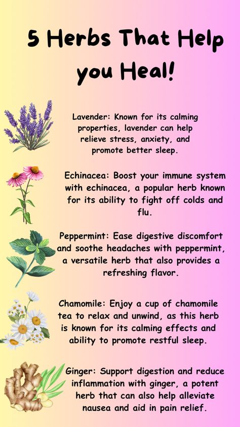 By incorporating these healing herbs into your wellness routine, you can harness the natural power of plants to support your health and vitality. Herbs With Antifungal Properties, Healing Herbs And Spices, Healing Plants Natural Remedies, Herbs For Confidence, Antifungal Herbs, Herbs For Mental Health, Baneful Herbs, Herb Tips, Medicinal Herbs Remedies