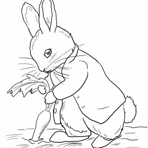 Embroidery Patterns Free Printables, Rabbit Coloring Pages, Rabbit Coloring, Beatrix Potter Illustrations, Peter Rabbit And Friends, Rabbit Colors, Rabbit Drawing, Easter Stuff, Bunny Coloring Pages