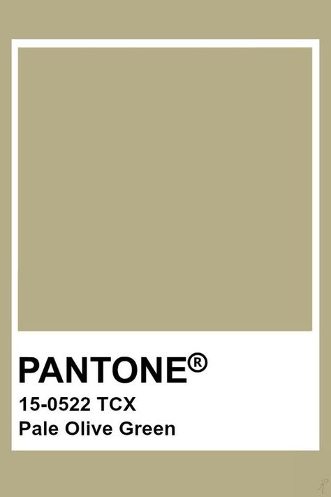 2019-2020 Spring Summer "Shape" Pale Olive Green Sage Green Pantone Colour Palettes, Pantone Earth Tones, Sage Green Swatch, Pantone Sage Green, Sage Green Pantone, Sage Pantone, Vert Pantone, Pantone Verde, Brown Pantone