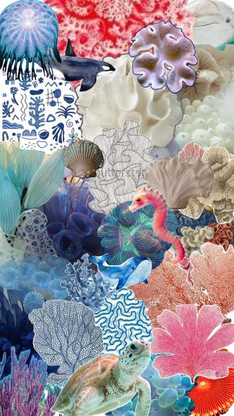 Coral reef, textures, sea life and inspiration Coral Reef Aesthetic, Coral Reef Photography, Fashion Portfolio Layout, Marine Plants, Trend Analysis, Sea Coral, Sea Inspired, Portfolio Layout, Coral Reefs