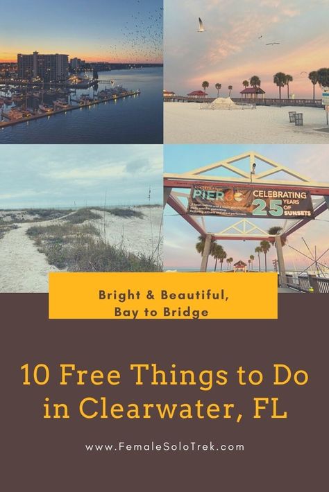 Free Things To Do in Clearwater, Florida - FemaleSoloTrek Florida In December, Clearwater Beach Florida, Honeymoon Island, Captiva Island, Clearwater Florida, Visit Florida, Clearwater Beach, Sanibel Island, Pier Fishing