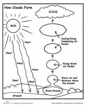 Fifth Grade Earth & Space Science Worksheets: How Clouds Form - Do you know how clouds form? Get the basic idea of how moisture in the air cools to become formations like clouds with this diagram that your child can color in to help make the learning stick! Health Worksheets, Weather Science, 1st Grade Science, Coloring Drawing, 4th Grade Science, 6th Grade Science, 5th Grade Science, Earth And Space Science, Fill In The Blank